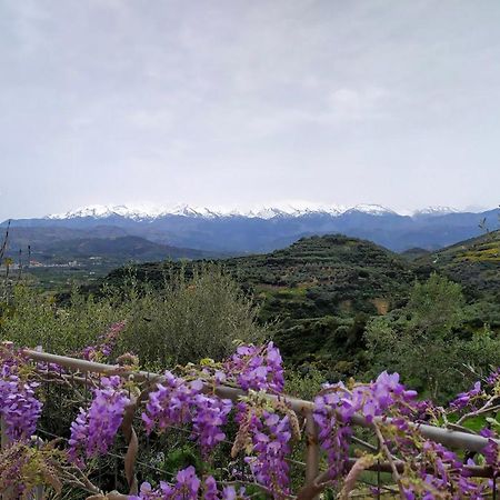 Villa Orgoni Patellari Dış mekan fotoğraf