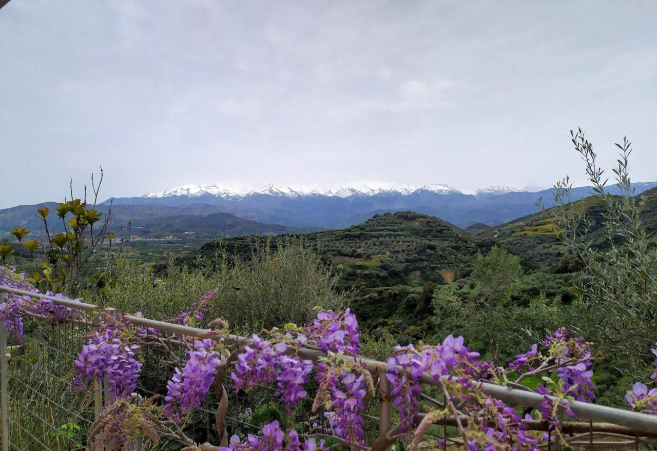 Villa Orgoni Patellari Dış mekan fotoğraf