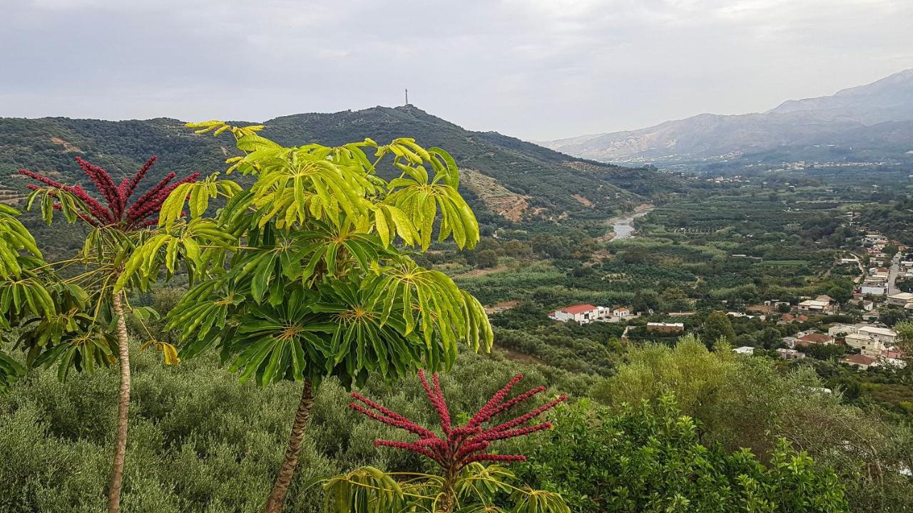 Villa Orgoni Patellari Dış mekan fotoğraf