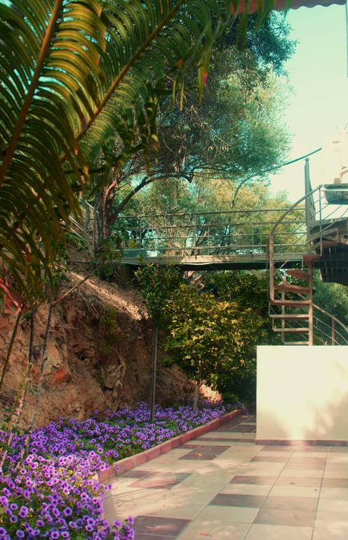 Villa Orgoni Patellari Dış mekan fotoğraf